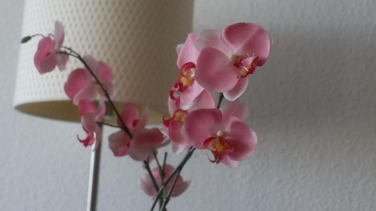 Ferienwohnung Deichblick Dornumersiel Ngoại thất bức ảnh
